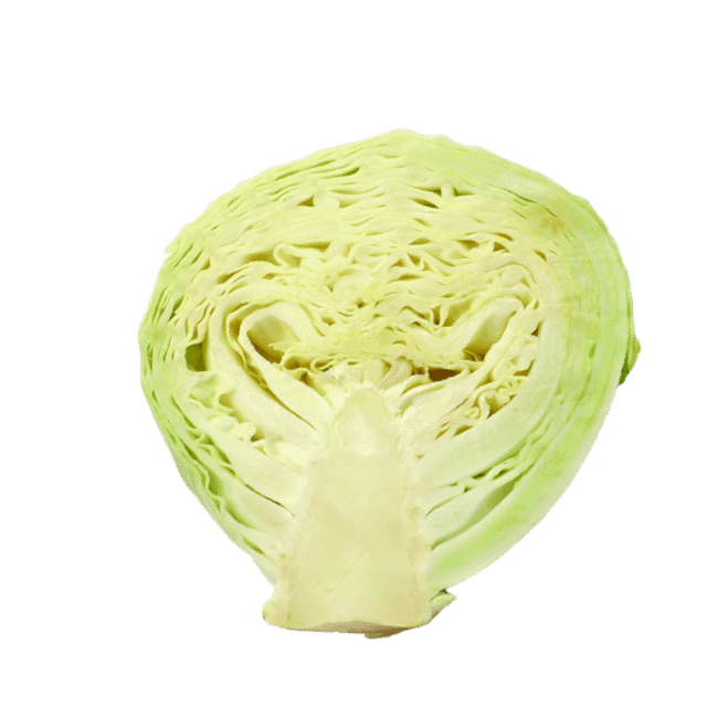 縦切りの画像