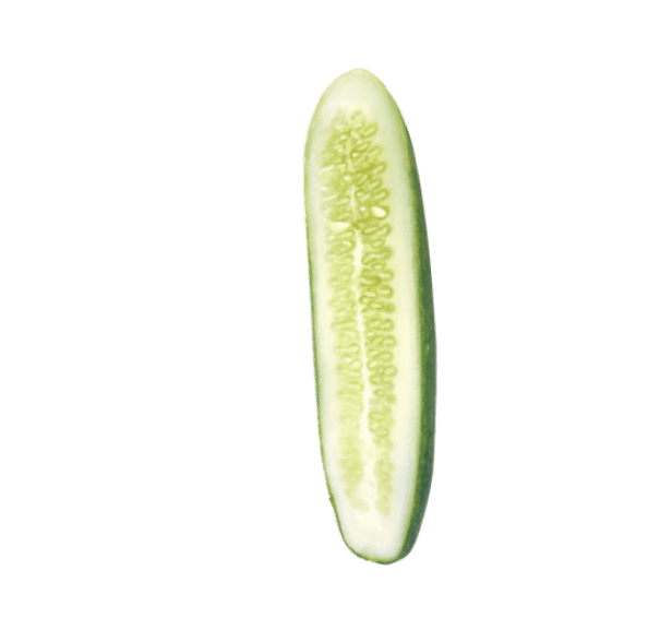 縦切りの画像