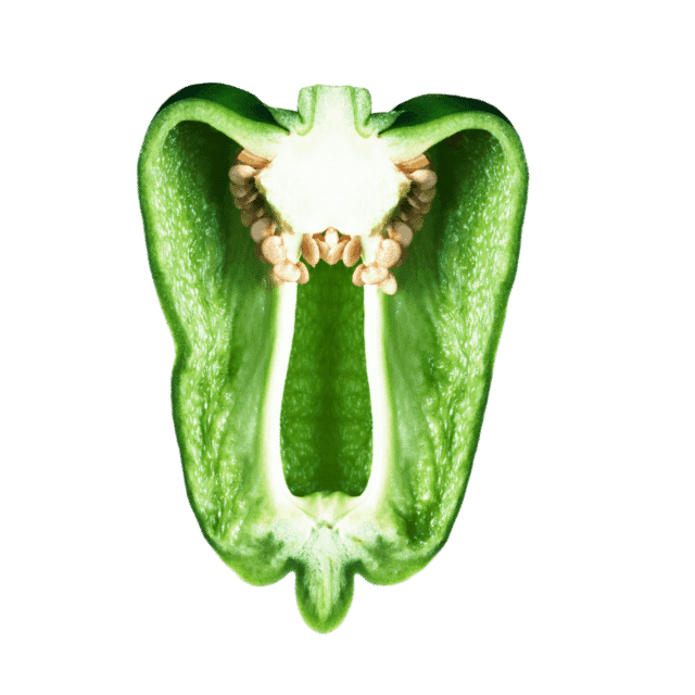 縦切りの画像