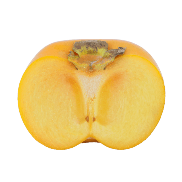縦切りの画像