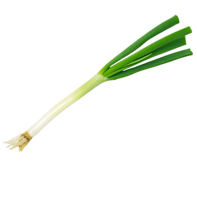 ながねぎの画像