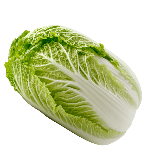 はくさいの画像